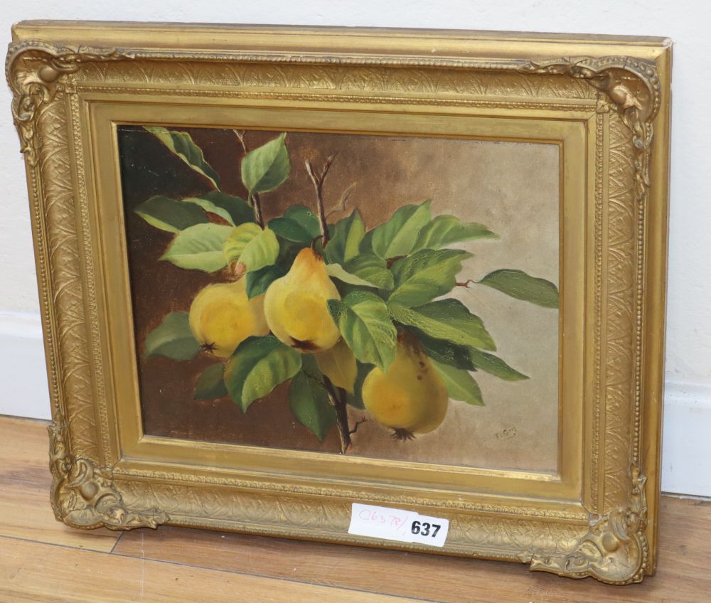 An Edwardian oil on canvas, still life of pears, 25 x 32cm